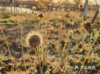 更适合3岁以上的小朋友