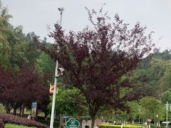 -古宇湖风景名胜区