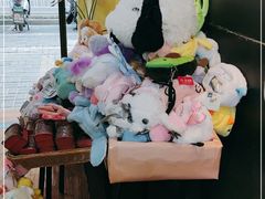 -志龙皇冠吃货椰子铺