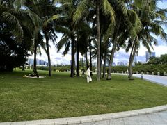 -深圳湾公园(南山区)