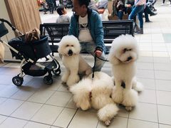-三井奥特莱斯购物城(爵士之梦长岛店)