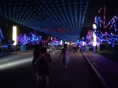 -南戴河国际娱乐中心