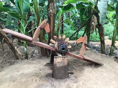 -呀路古热带植物园