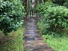 -象山森林公园
