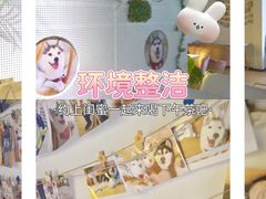 -Husky Go! 哈士奇体验馆·宠物咖啡厅狗咖