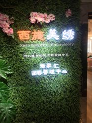 -西施无菌半永久纹绣眉眼影唇轻增发纹发际线