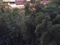 -上海衡山路十二号华邑酒店