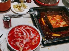 -红鼎坊·老成都火锅(新南门店)