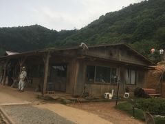 -岚山猴子公园