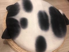 -飞行喵MR PILOT|猫舍·猫咖(静安大融城店)