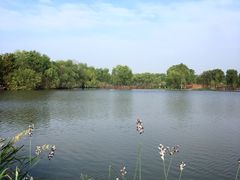 -长兴太湖图影湿地文化园