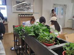 -首都医科大学附属北京天坛医院