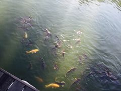 民族园智选假日酒店-北京民族园葉子里酒店(鸟巢店)