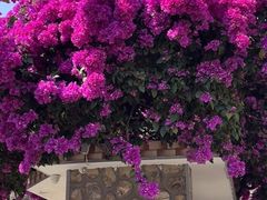 -梅州天地人花园酒店(梅县人民广场店)