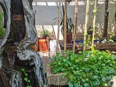 -普洱茶府(博乐广场店)