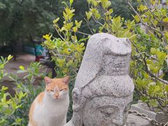 -福州开元寺