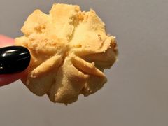 -珍妮曲奇聪明小熊(尖沙咀店)