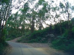 -南宁良凤江国家森林公园