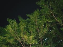 -利俊跆拳道(市二宫直营馆)