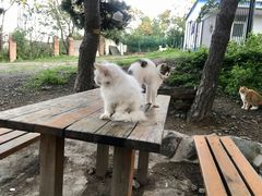 -鬼笑石后山停车场