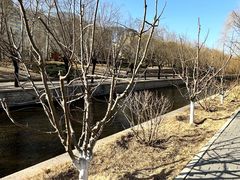 -元大都城垣遗址公园