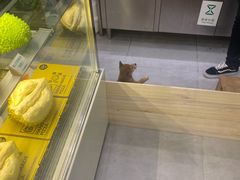 -猫王榴莲世家(三里屯SOHO商场店)