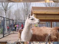 -长白岛森林公园