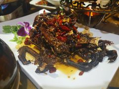 -厨彩阳光(河东路店)