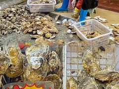 -蚝抵食·湛江生蚝(湾北路店)