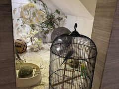 -云中漫步·足疗养生会馆(金开店)