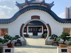 -广东花都湖国家湿地公园