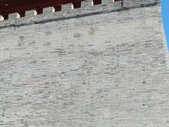 -洛阳市隋唐城遗址植物园