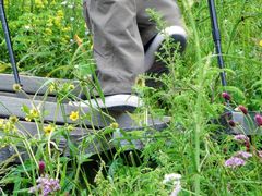 -白草畔自然风景区