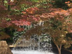 -热带风暴水上乐园(新镇路)