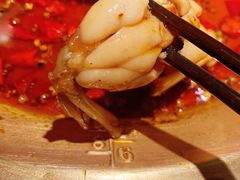 -新哥老官·畅吃123·美蛙世界(苏宁广场店)