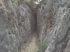 -千岛湖石林