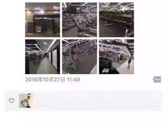 -金吉鸟健身游泳