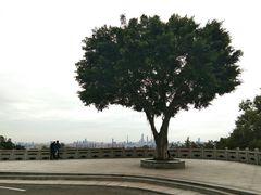 -火炉山森林公园