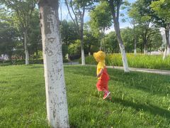 -映月湖中央公园