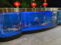 -鹿鸣酒家(越秀店)