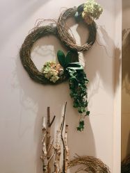 -Oasis Beauty水磨坊科技美肤中心