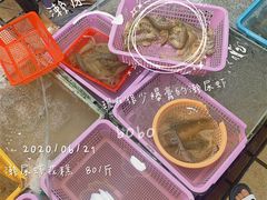 -蛇口市场