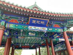 -莲花池公园