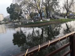 -成飞公园