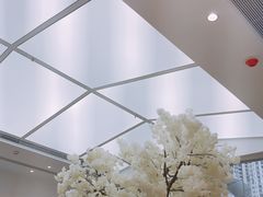 -艾薯夫妇Aysh(福田星河COCOPark店)