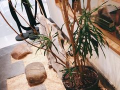 -山之川·日式料理(瀚海海尚店)