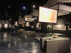 -中国湿地博物馆