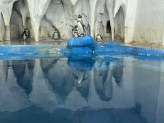 -太平洋海底世界