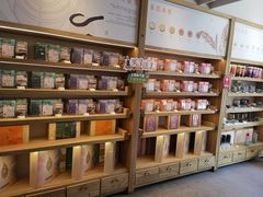 -长春堂顺时而饮(前门店)