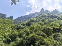 -青峰峡国家森林公园